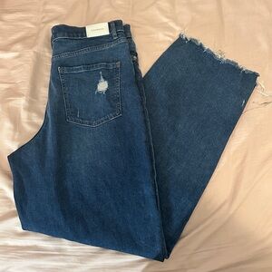 Express 90s wide leg jeans